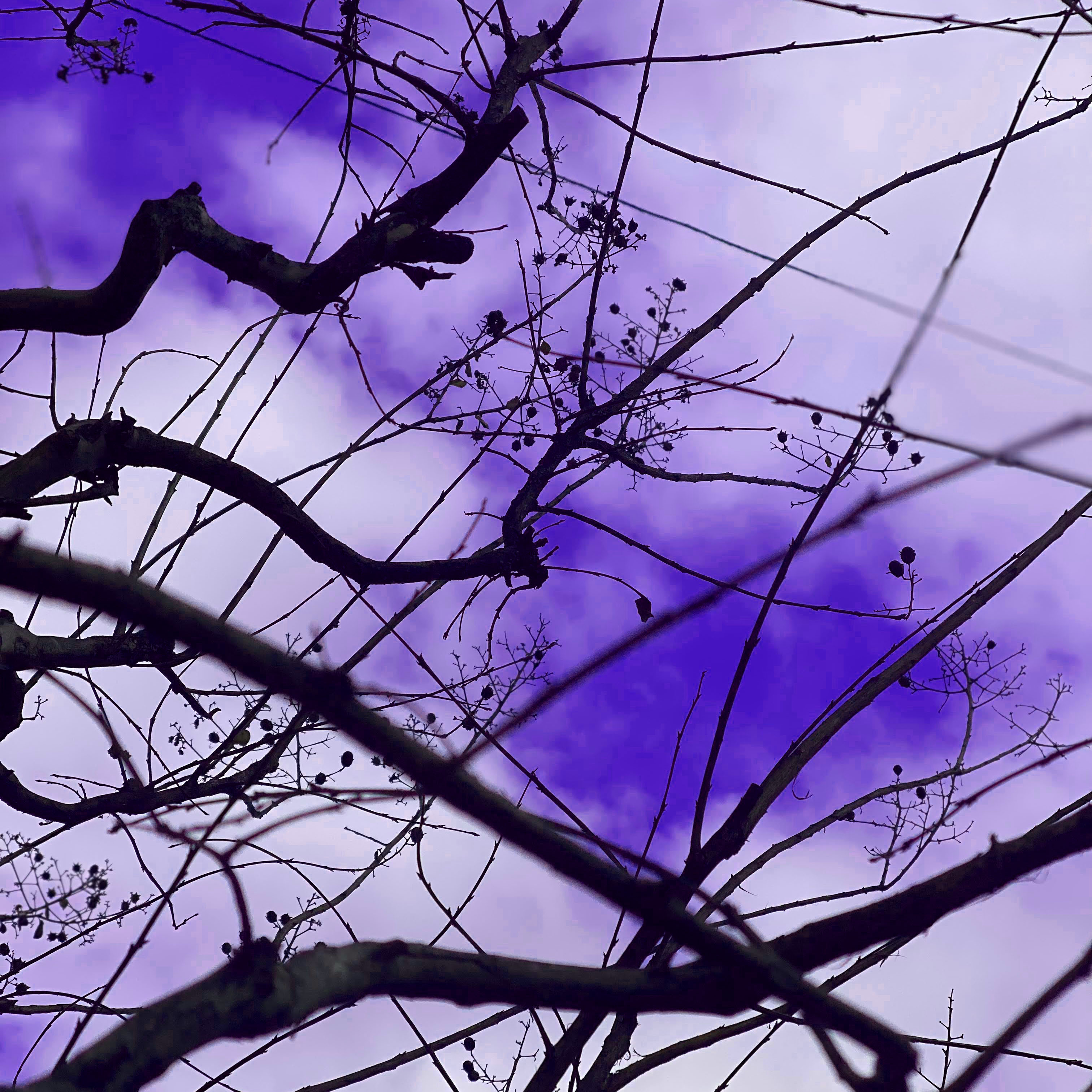 アイルイメージ01